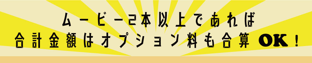 セット割引オプションも