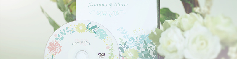DVDシスク無料
